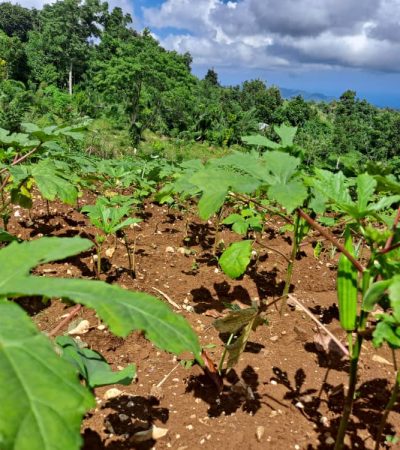 WhatsApp Image 2025-11-14 at 5.28.53 PM