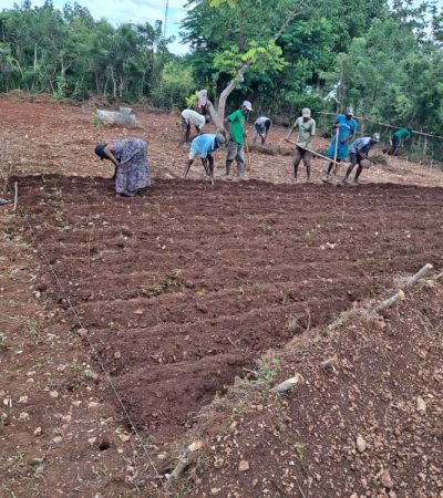 WhatsApp Image 2025-11-14 at 5.28.54 PM (2)