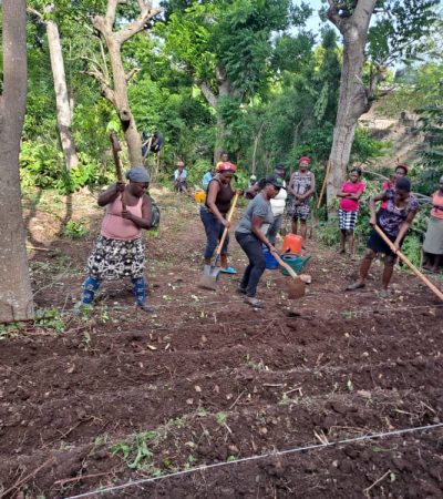 WhatsApp Image 2025-11-14 at 5.28.54 PM (3)