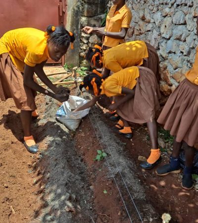 WhatsApp Image 2025-11-14 at 5.29.02 PM (1)