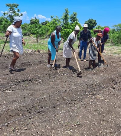 WhatsApp Image 2025-11-14 at 5.29.09 PM