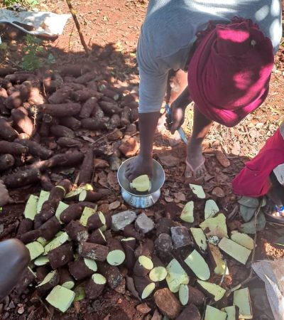 WhatsApp Image 2025-11-14 at 5.29.14 PM